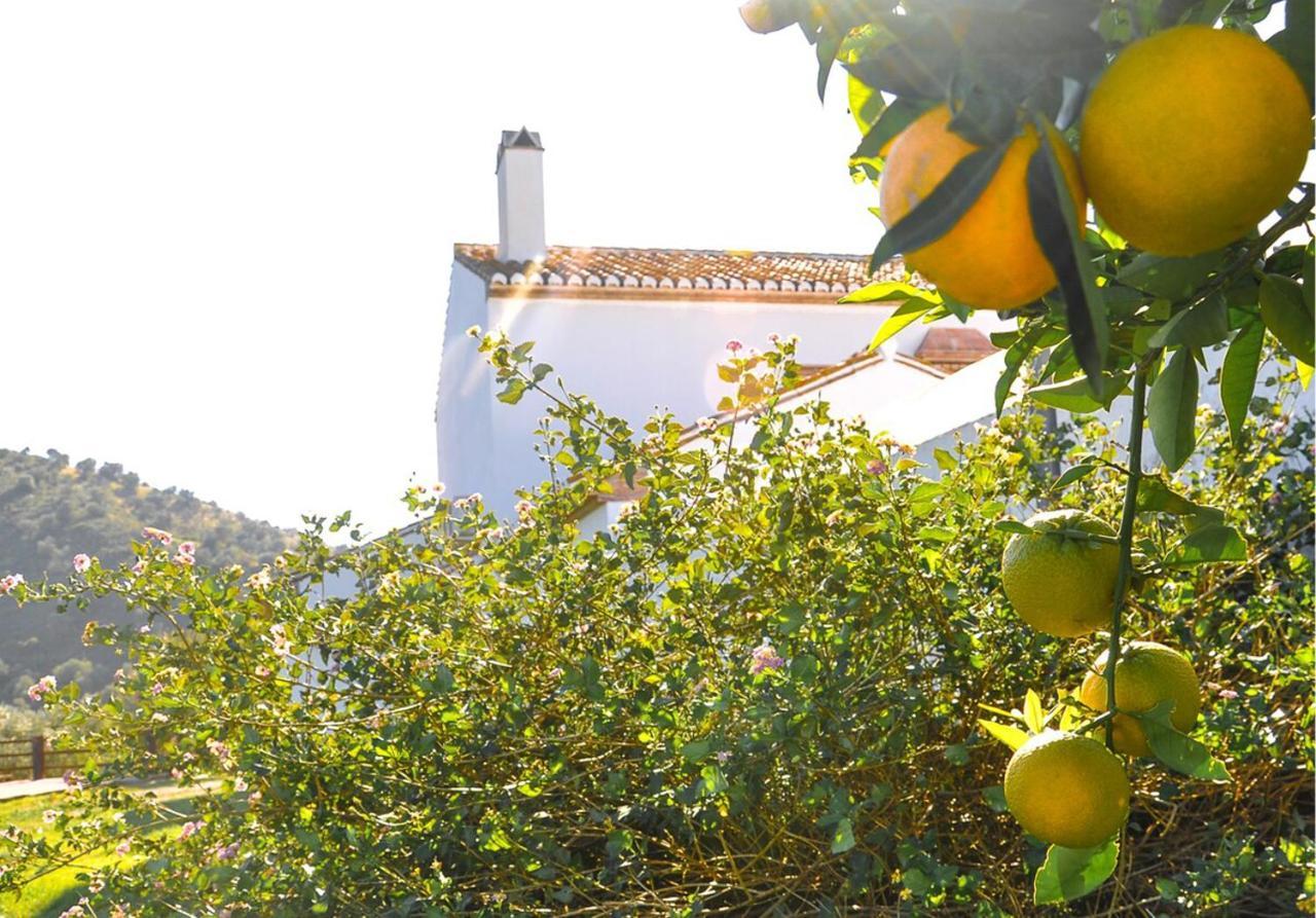 Cortijo Las Caballerias Álora Zewnętrze zdjęcie